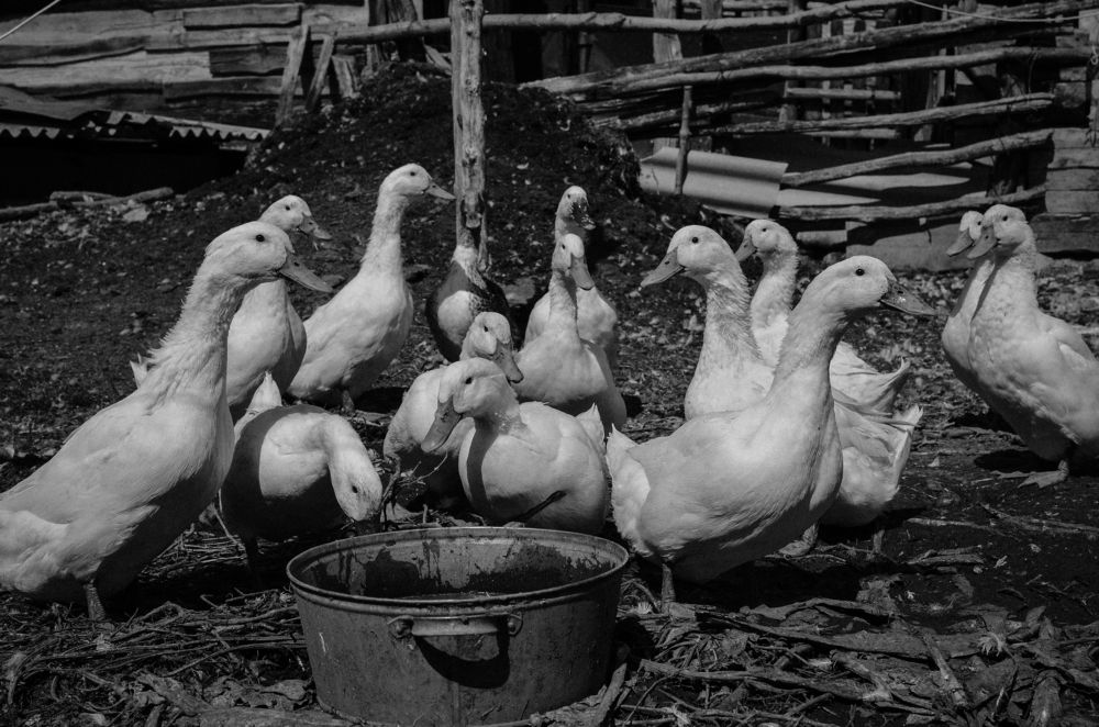 Photograph by Константин Числов