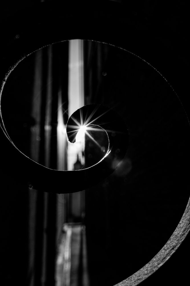 Photograph by Александр Шалагин