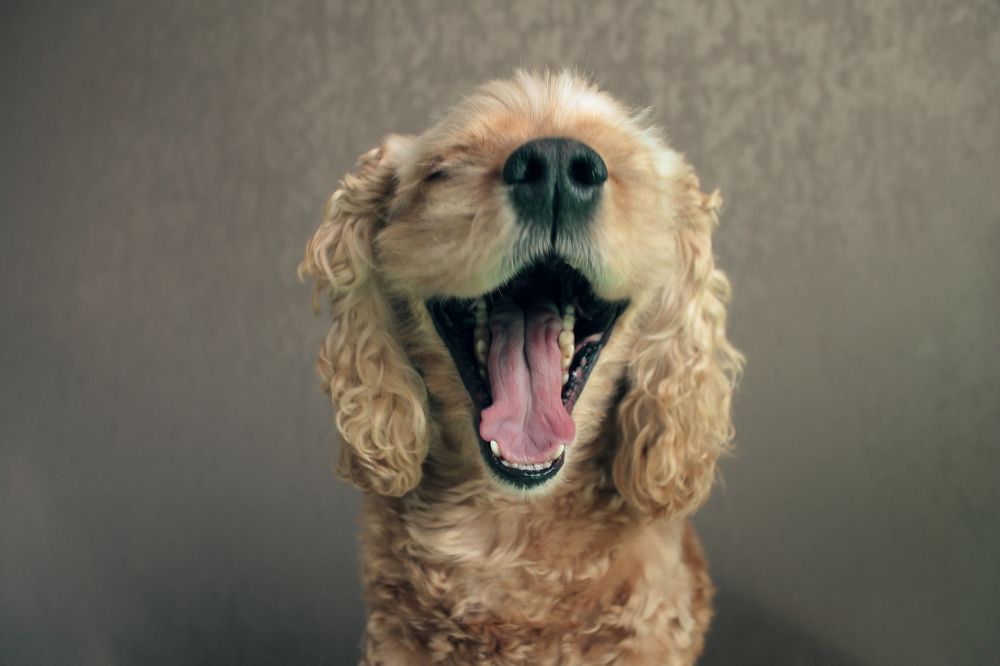 Photograph by Оксана Кабакова