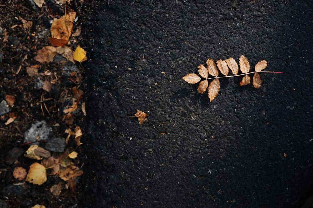 Photograph by Александр Шалагин