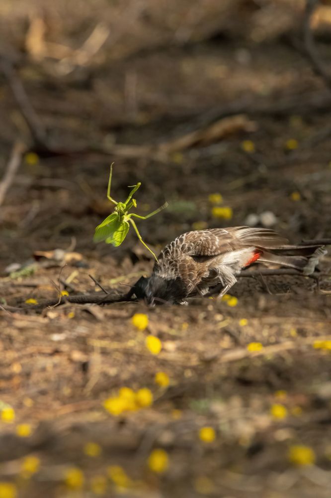 Photograph by Varun Bhusari