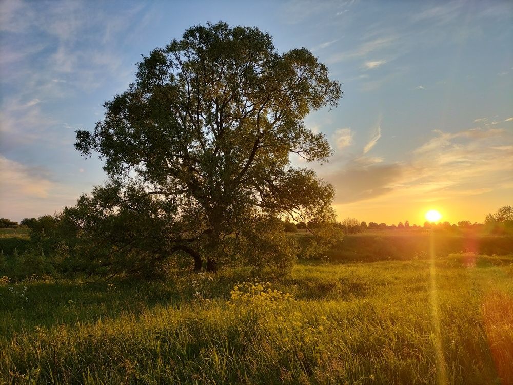 Photograph by Александр Быкадоров