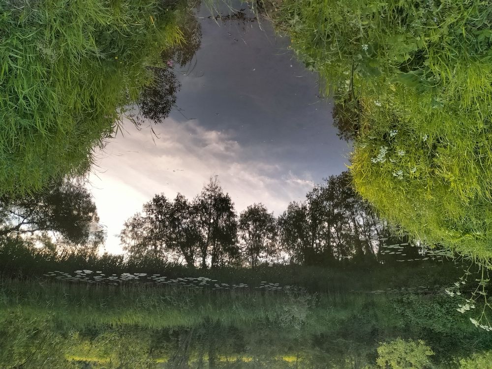 Photograph by Александр Быкадоров