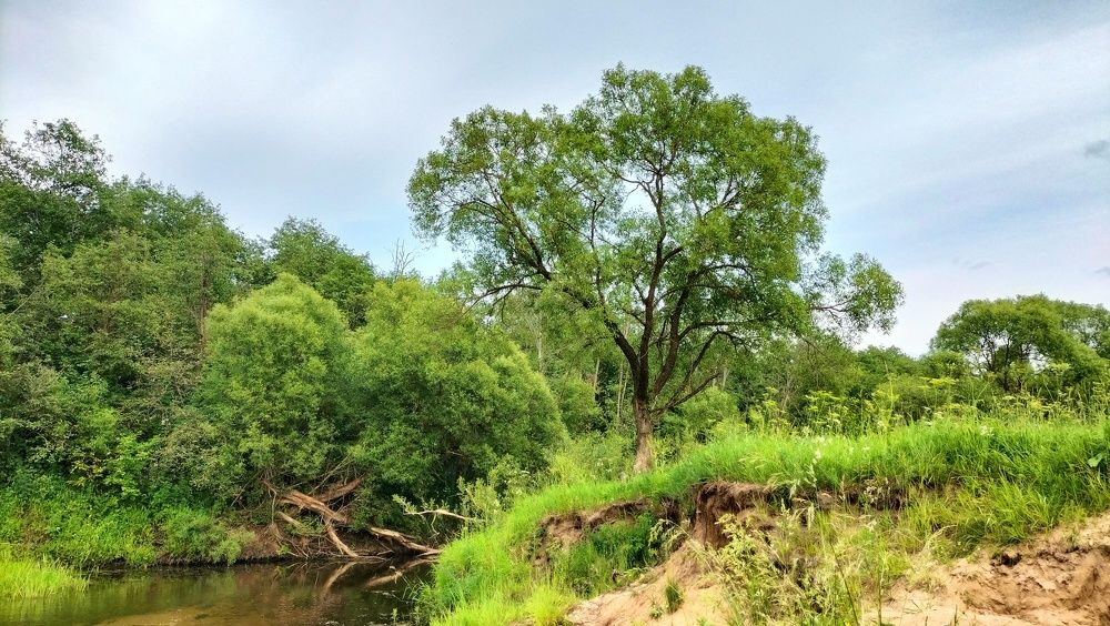 Photograph by Александр Быкадоров