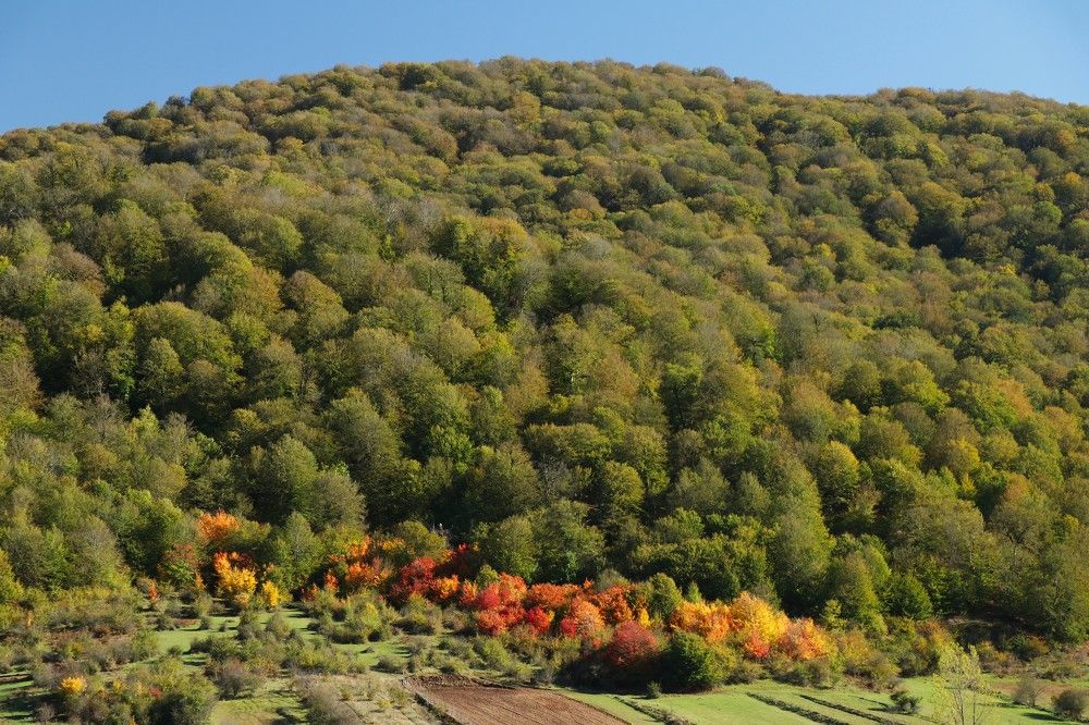 Photograph by Mostafa Mortazavi