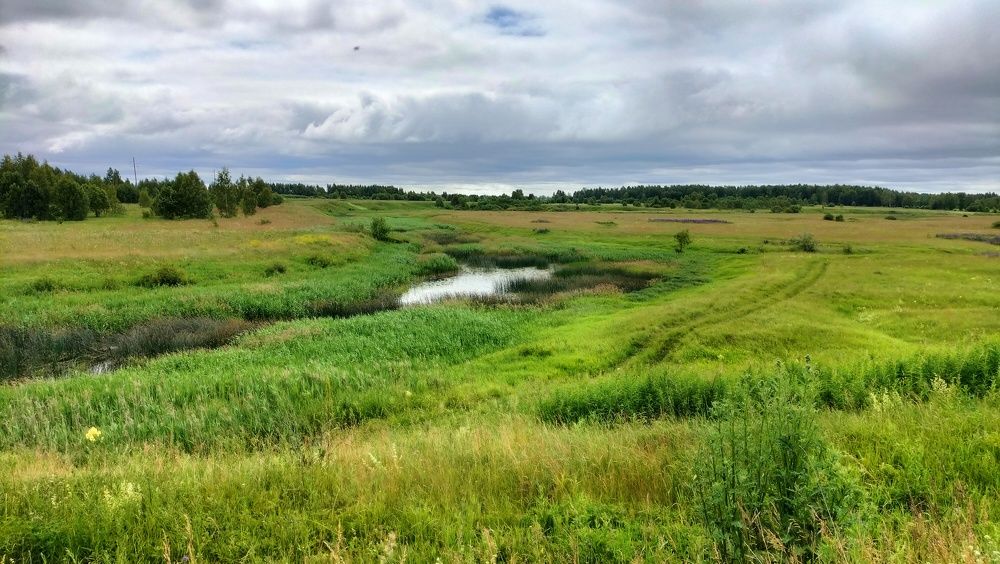 Photograph by Александр Быкадоров