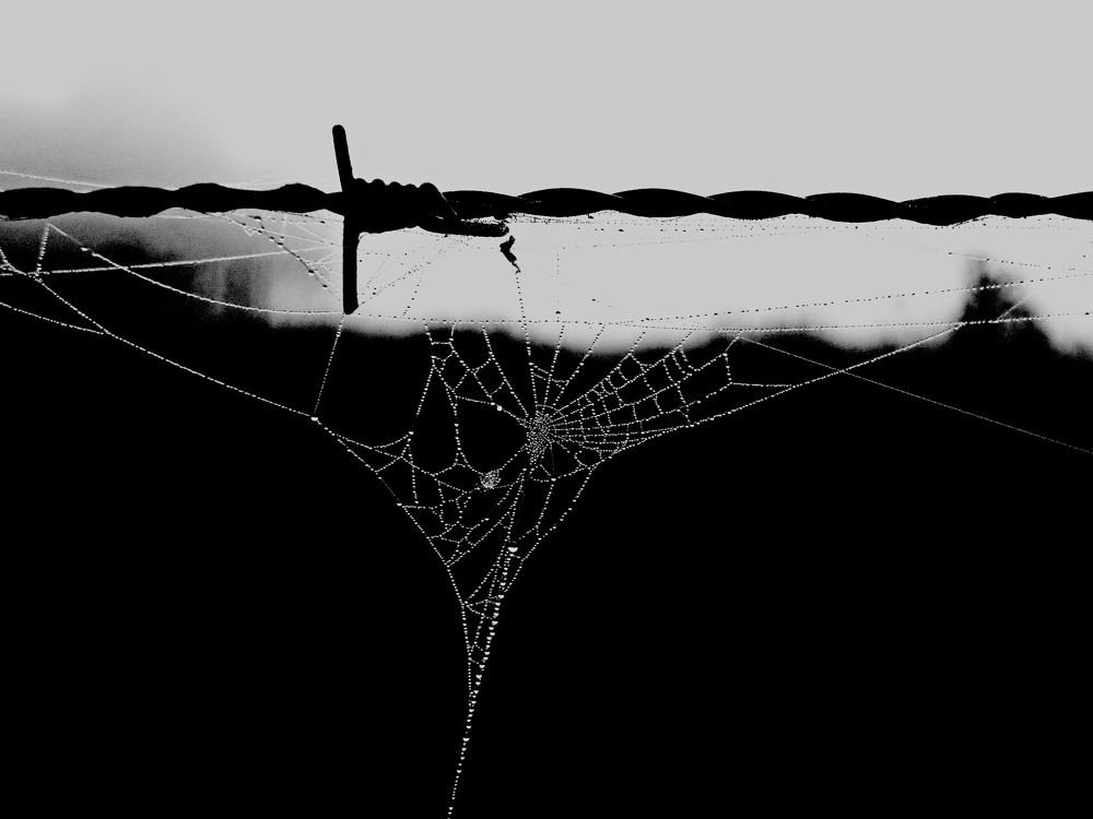 Photograph by Viviana García