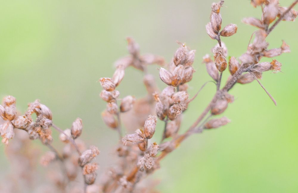 Photograph by Илья Хрусталев