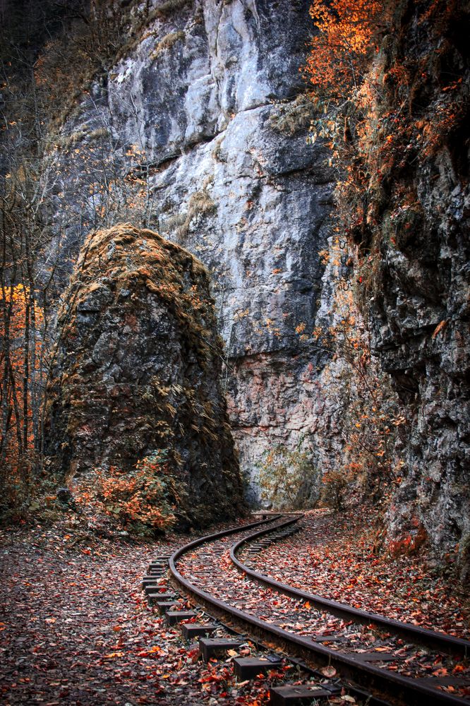 Дорога в никуда