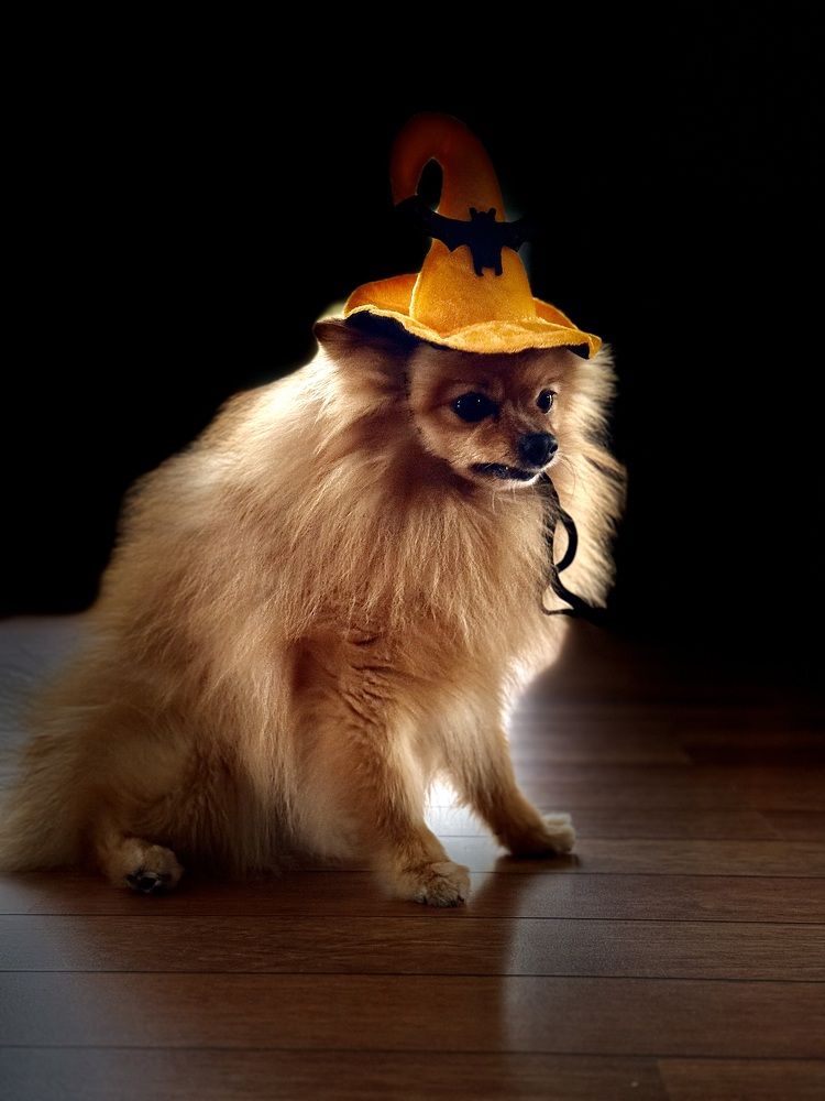 Prepear for hallowin