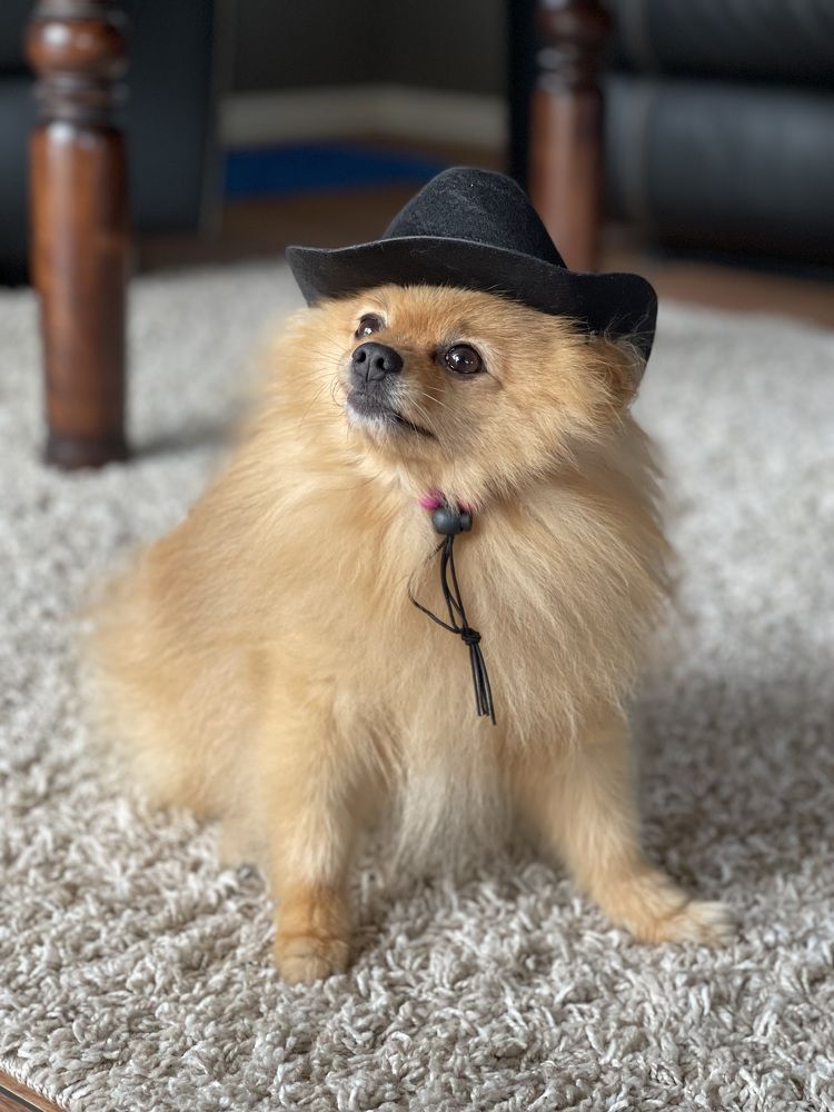 Photograph by Arnfinn Malmedal