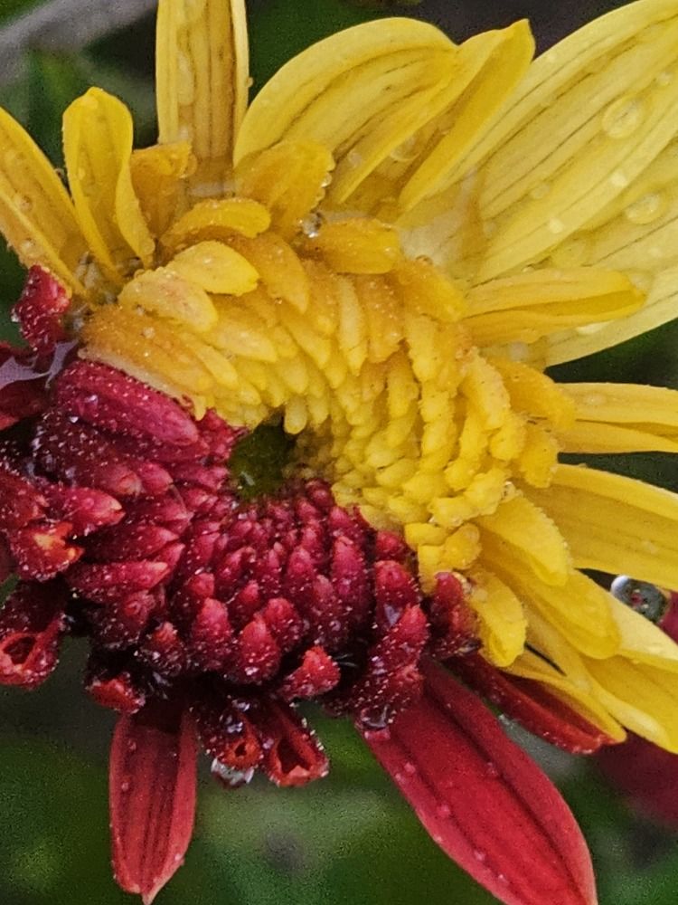 Photograph by даша ващенко