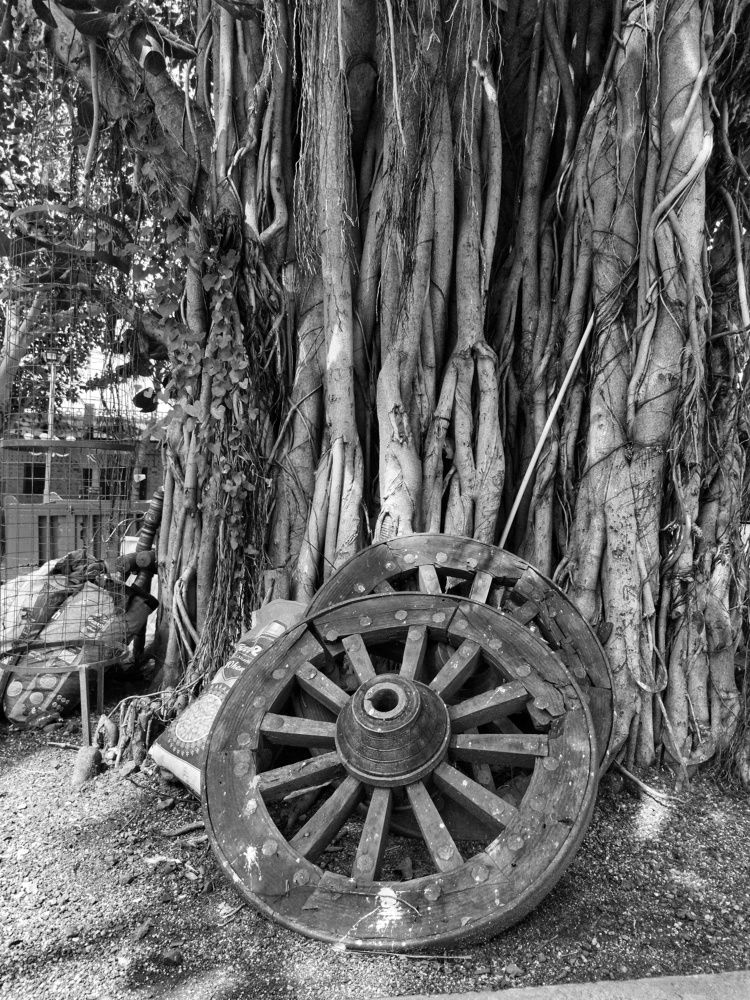 Photograph by Krunal PATEL