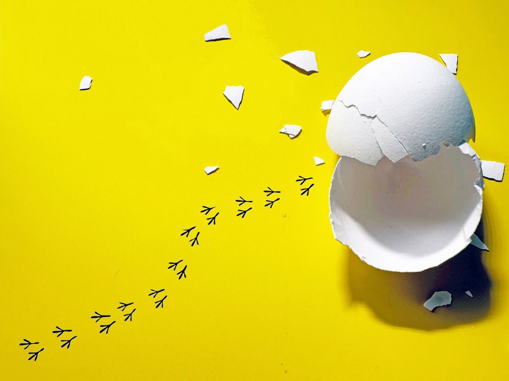 Сбежавший завтрак