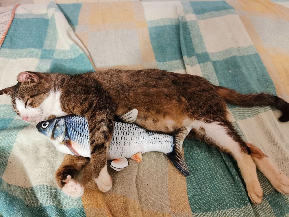 Photograph by Nikolett Mengyi