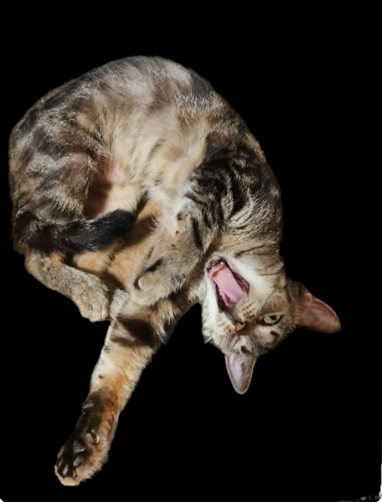 Photograph by Nikolett Mengyi