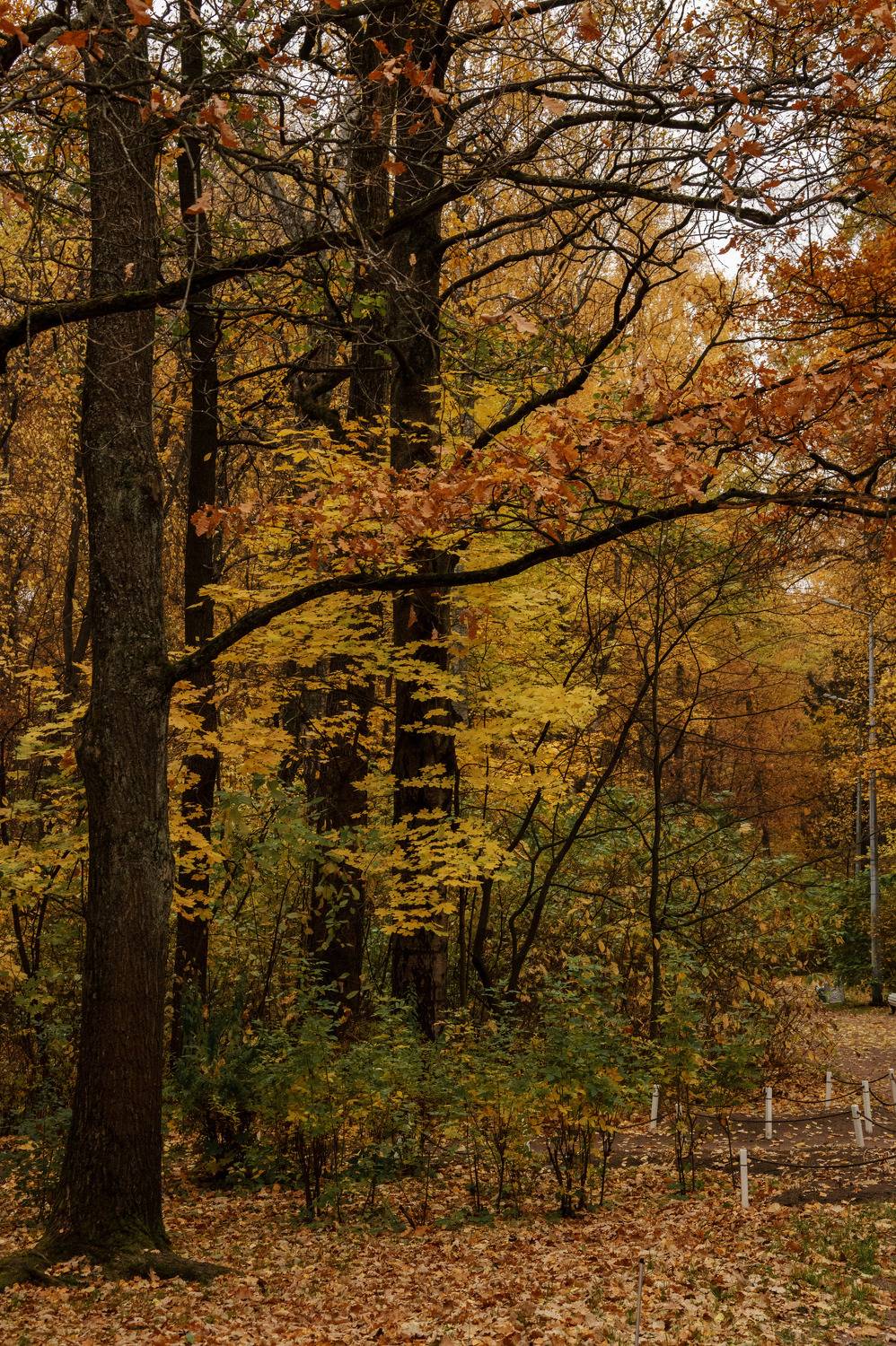 Photo #9647777