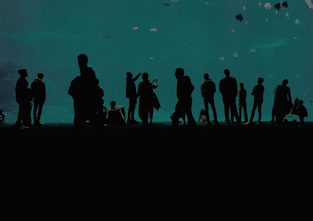 Photograph by Анастасия Куэлляр