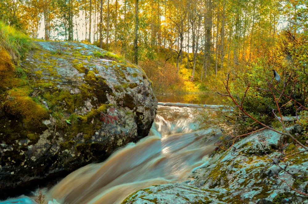 Photograph by Екатерина Казарцева