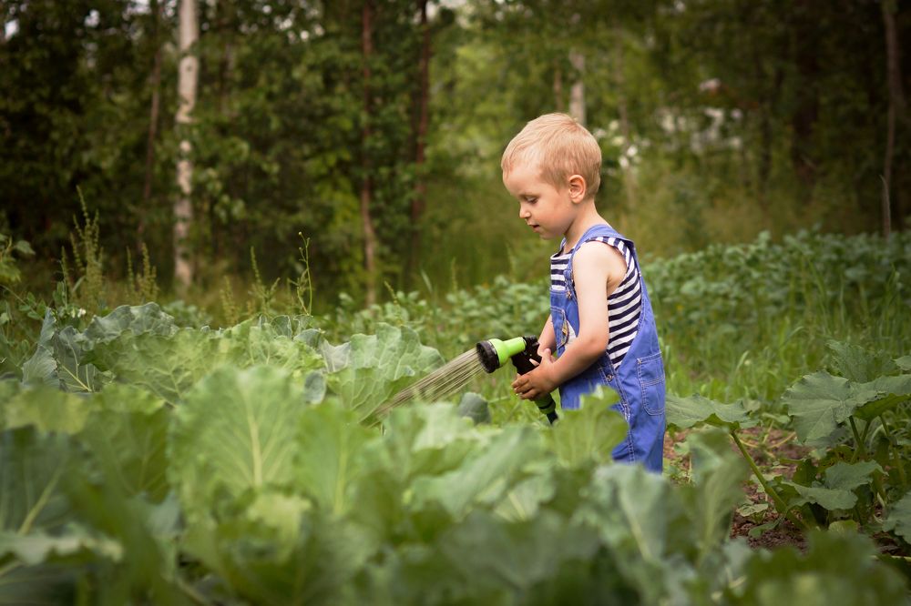 Photograph by Людмила Коробова