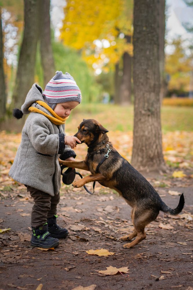 Photograph by Людмила Коробова