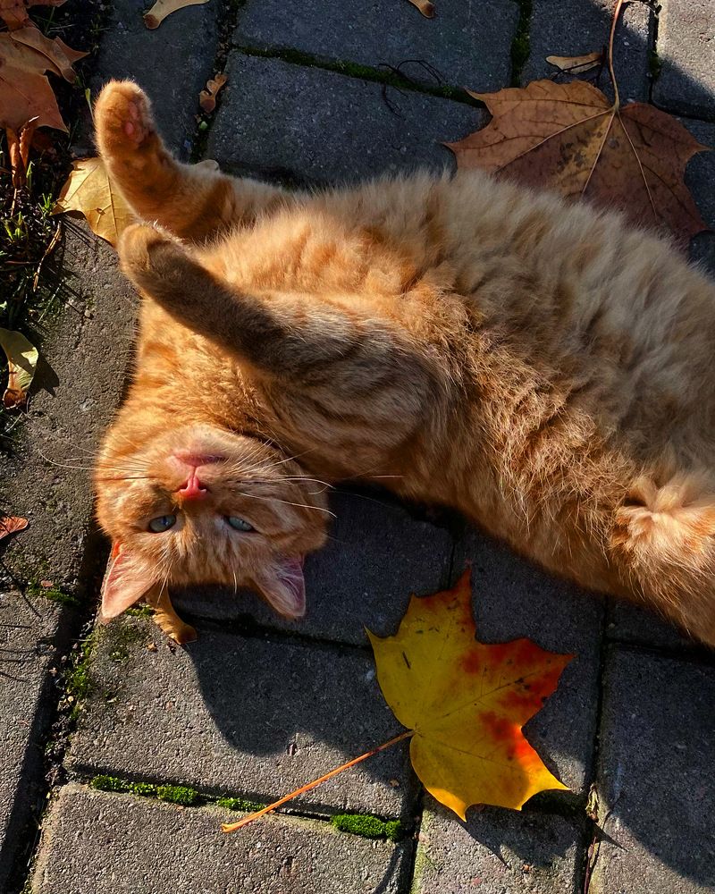 Photograph by Светлана Коган