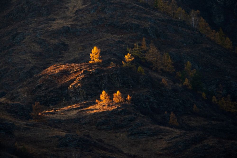 Photograph by Крицак Ольга