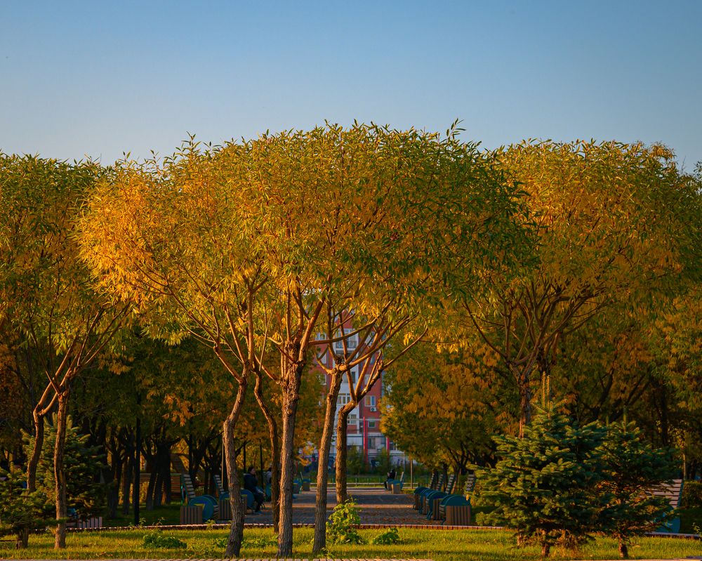 Photograph by Наталья Ефимова