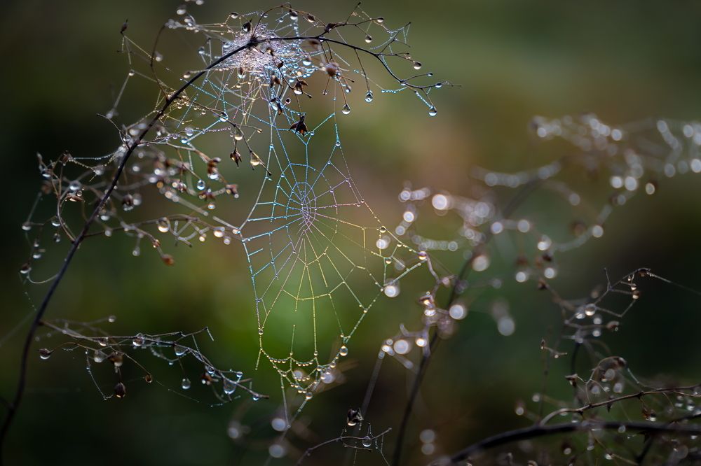 Photograph by Николай Фонарёв