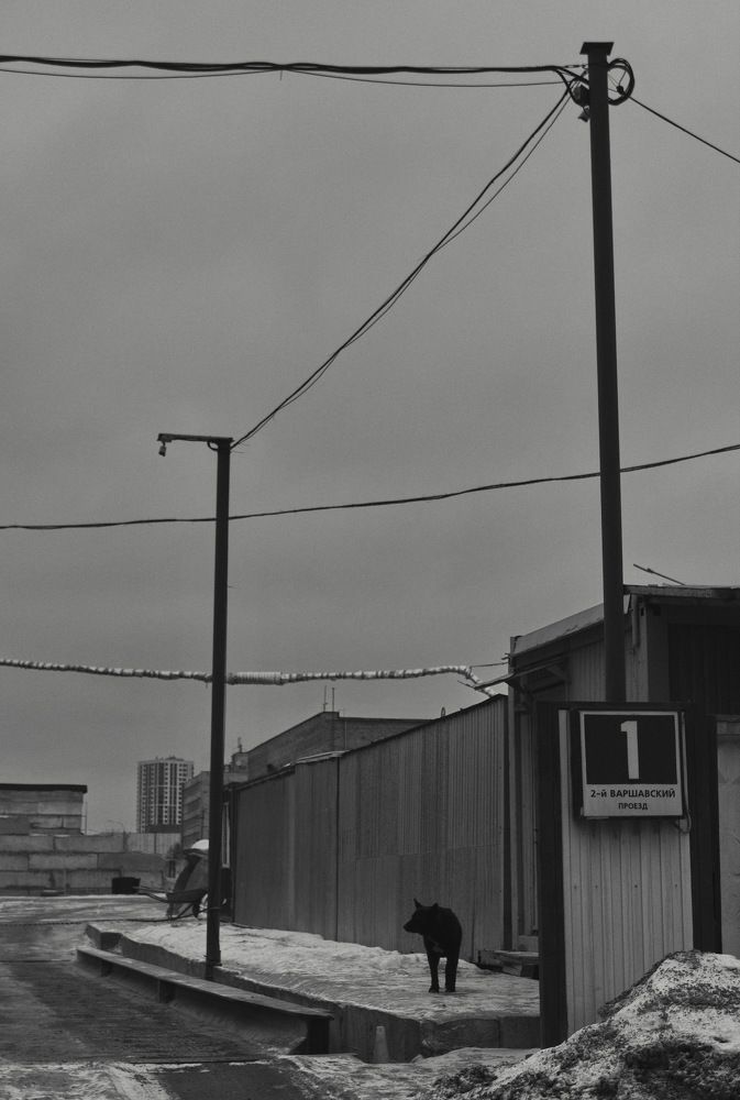 Photograph by Виктор Чернышов