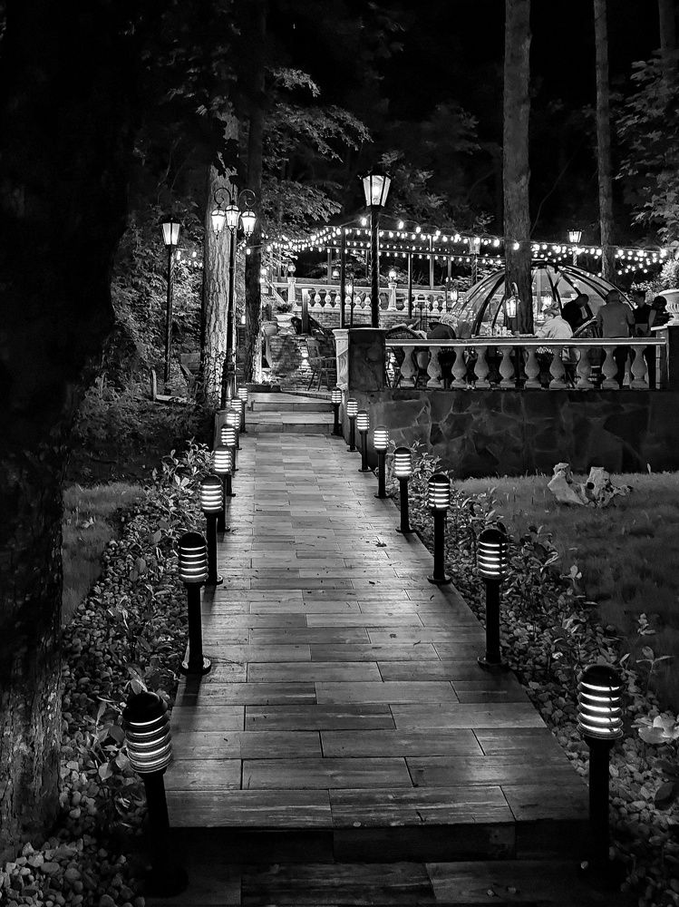 Photograph by Эльза Трисантович