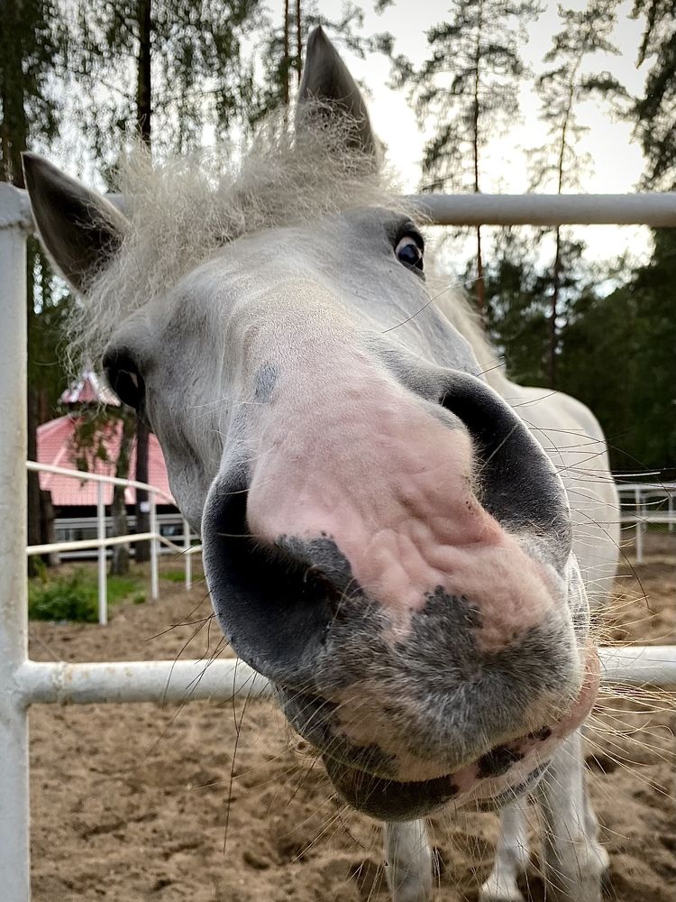 Photograph by Светлана Коган