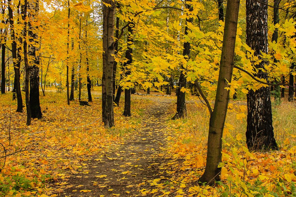 Photograph by Елена Шахова