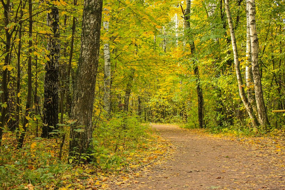 Photograph by Елена Шахова