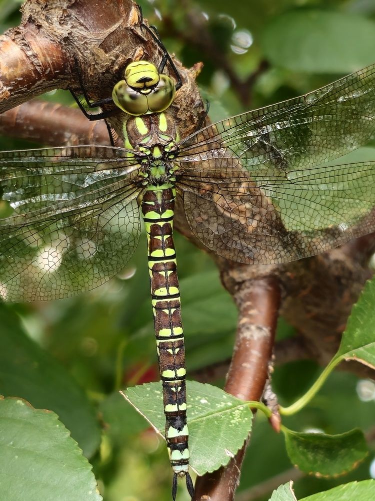 Photograph by Владимир Парсяк