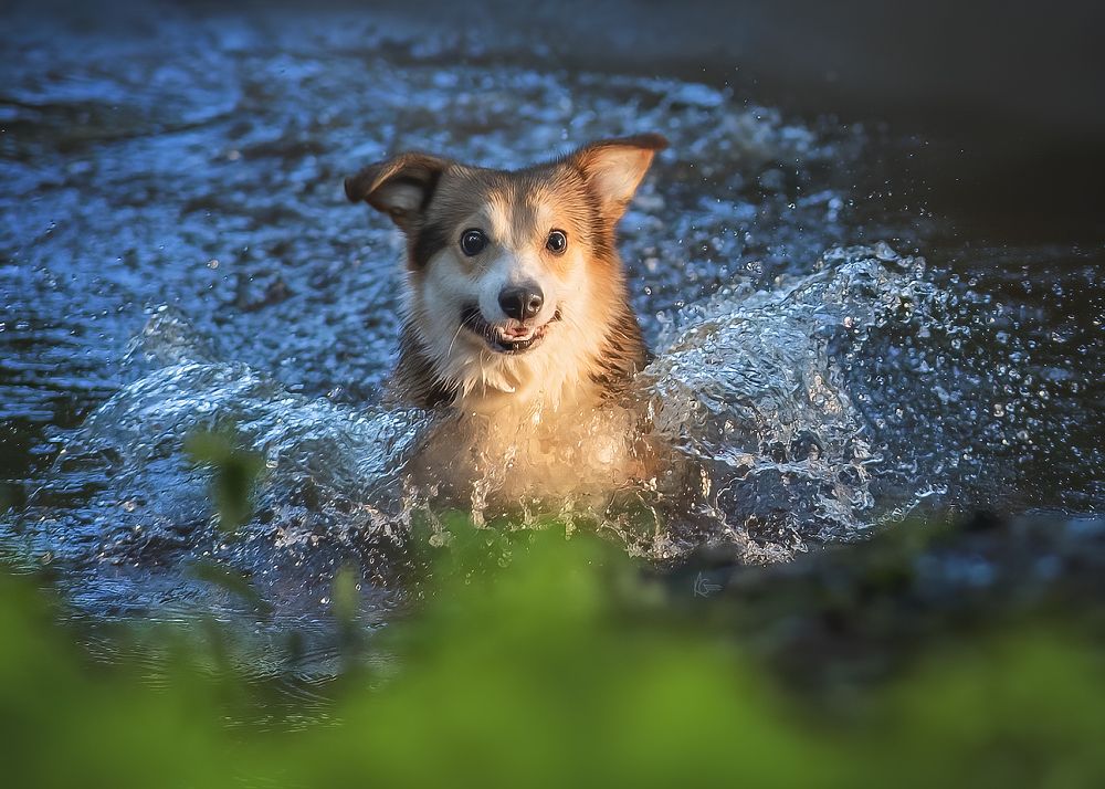 Photograph by Коптилина Галина