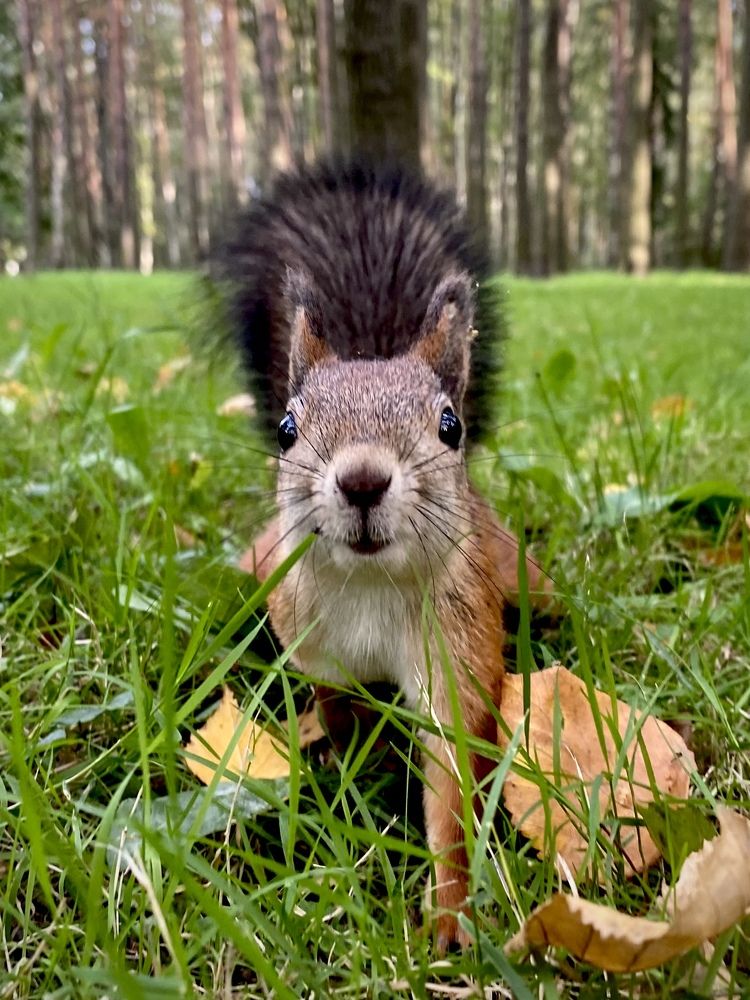 Photograph by Светлана Коган