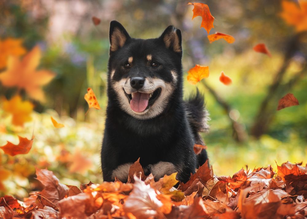 Photograph by Коптилина Галина