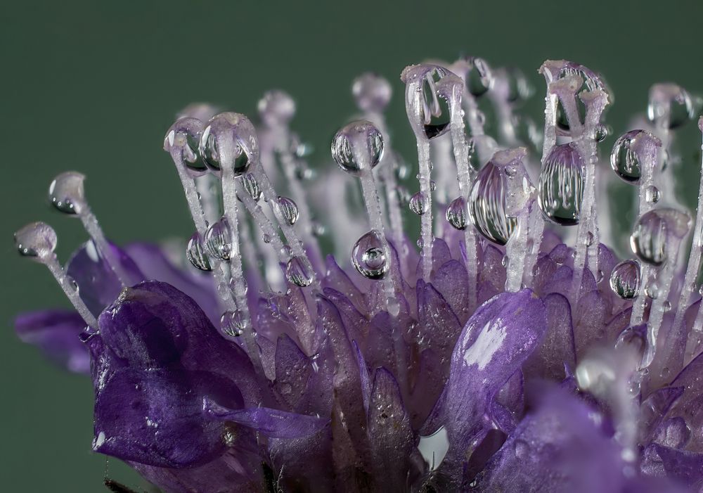 Photograph by Людмила Железнова