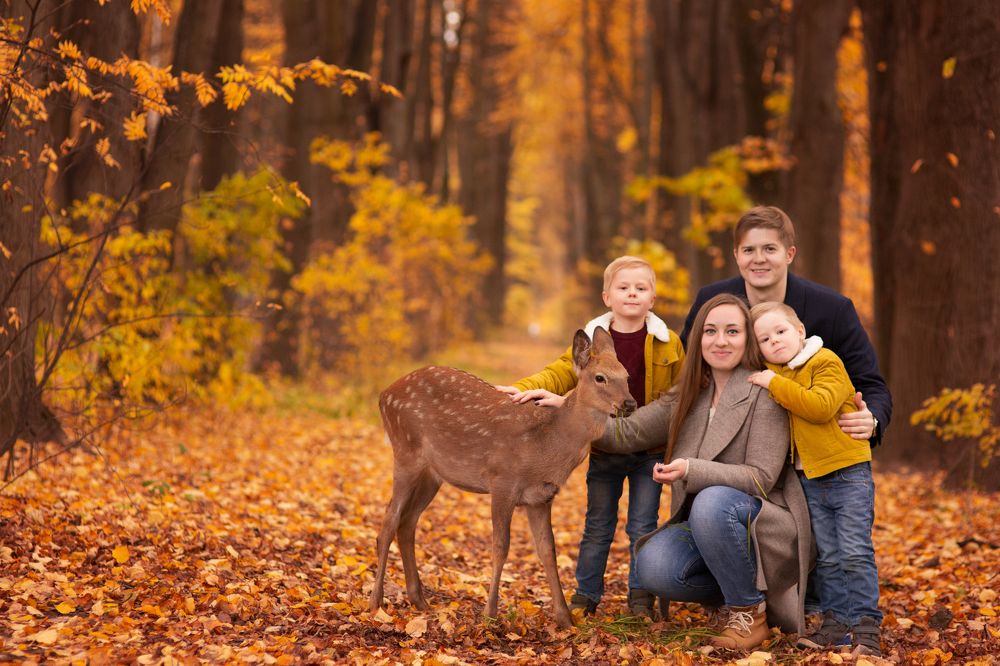 Photograph by Алена Федосова