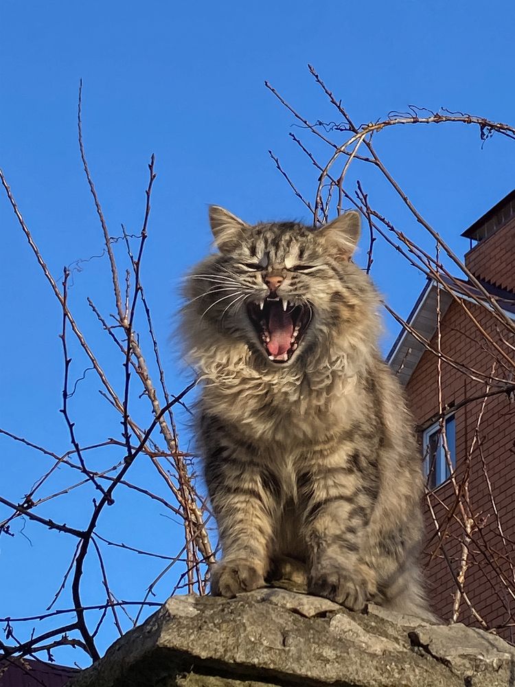 Photograph by Светлана Карнаух