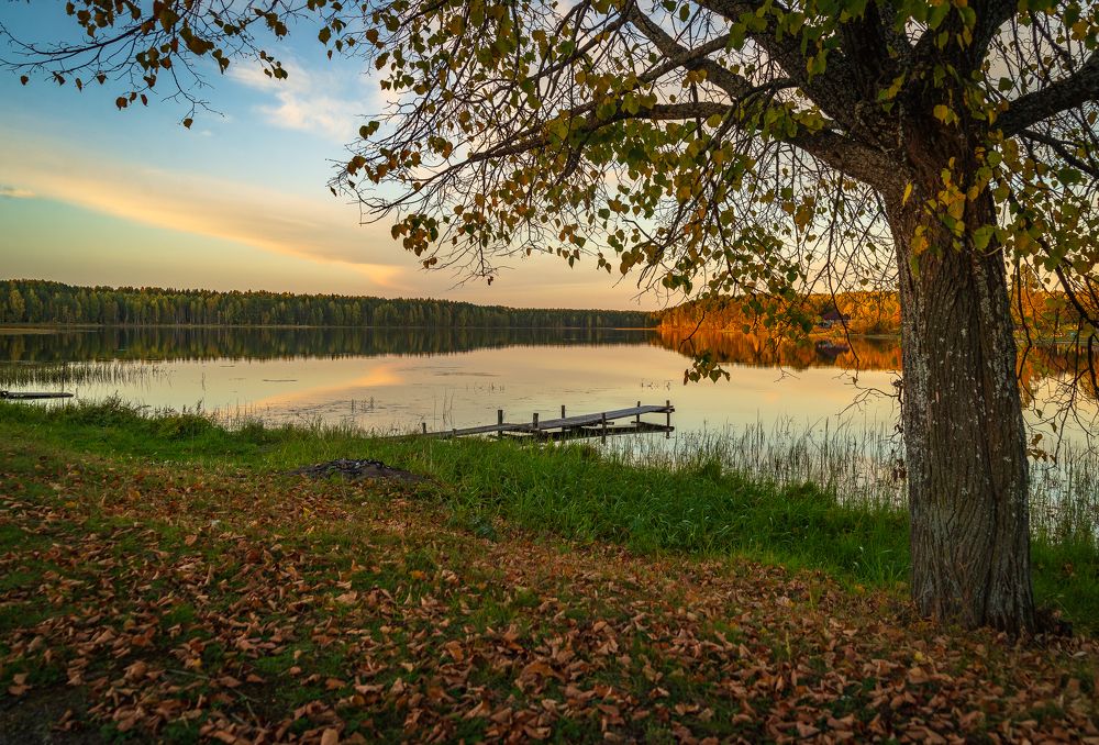 Фотография автора Шуплецов Алексей