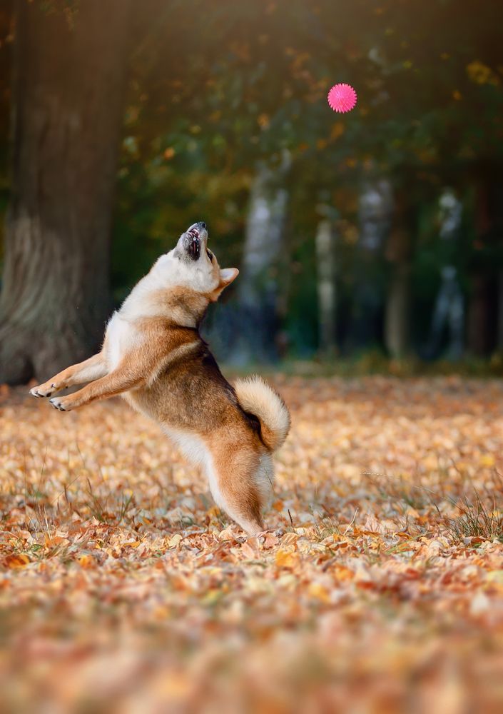 Photograph by Коптилина Галина