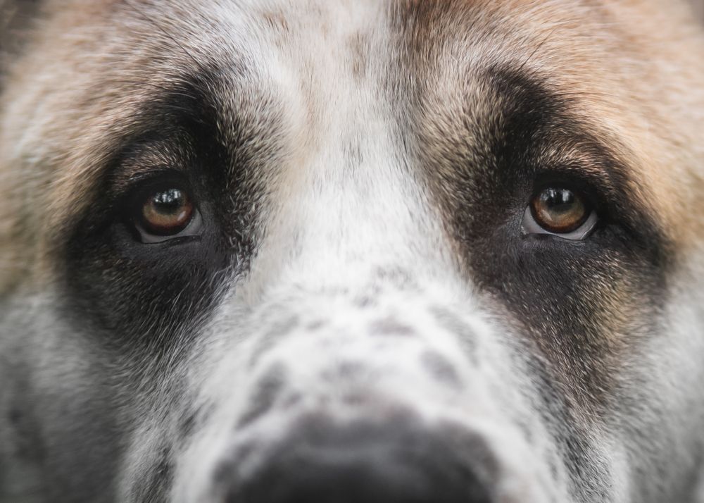 Photograph by Коптилина Галина