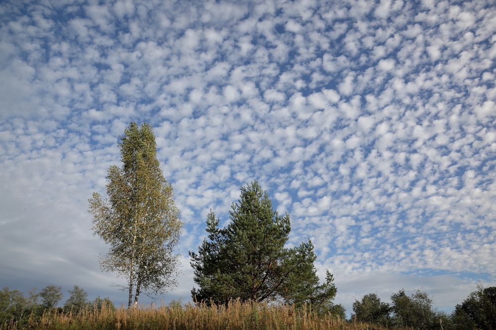 Photograph by МИТЮРИН АНДРЕЙ