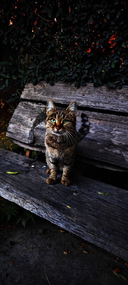 Photograph by Курлова Анна