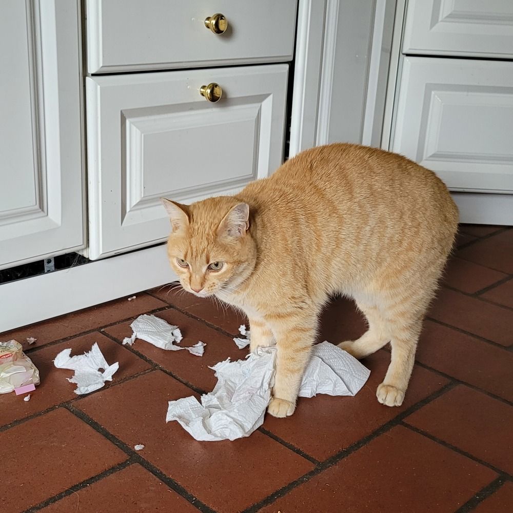 Photograph by Catherine