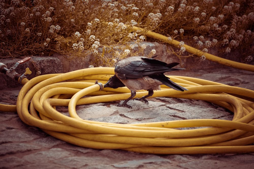 Photograph by Виктор Евстратов