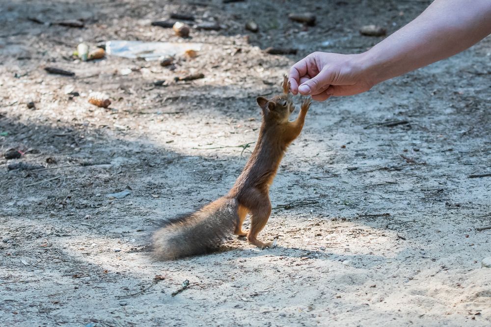 Photograph by Виктор Евстратов