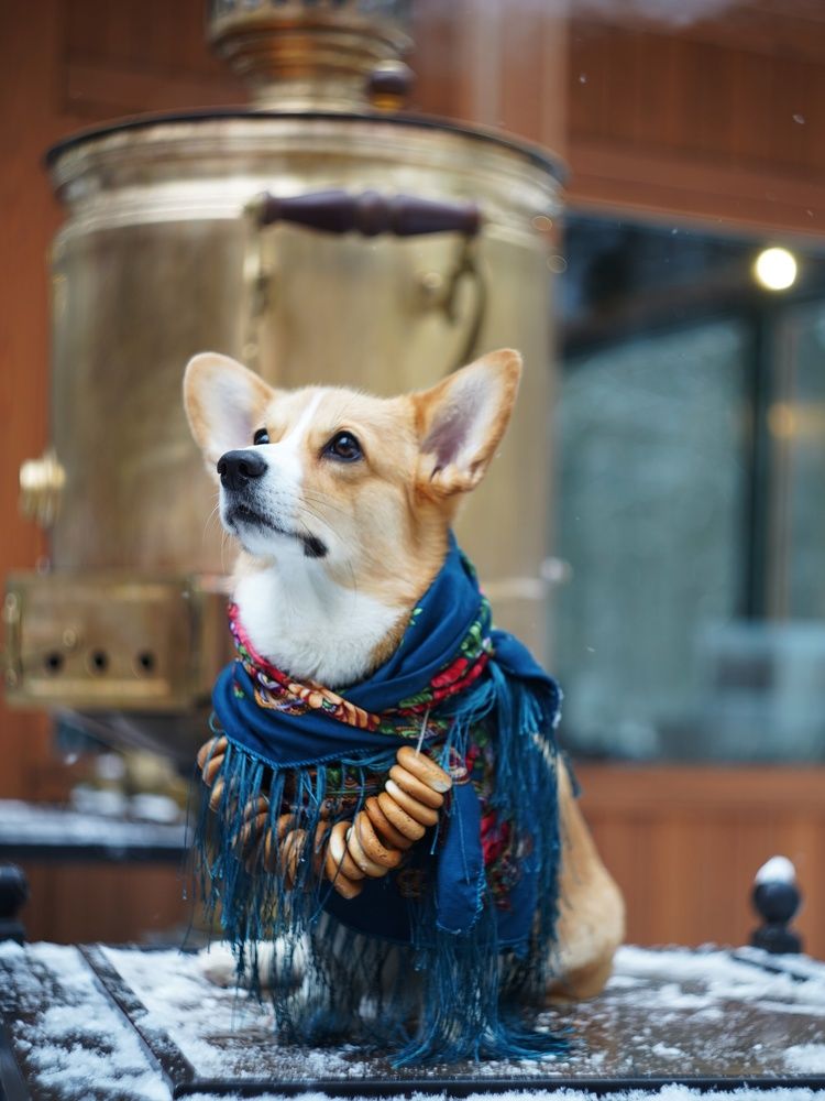 Photograph by Светлана Смирнова